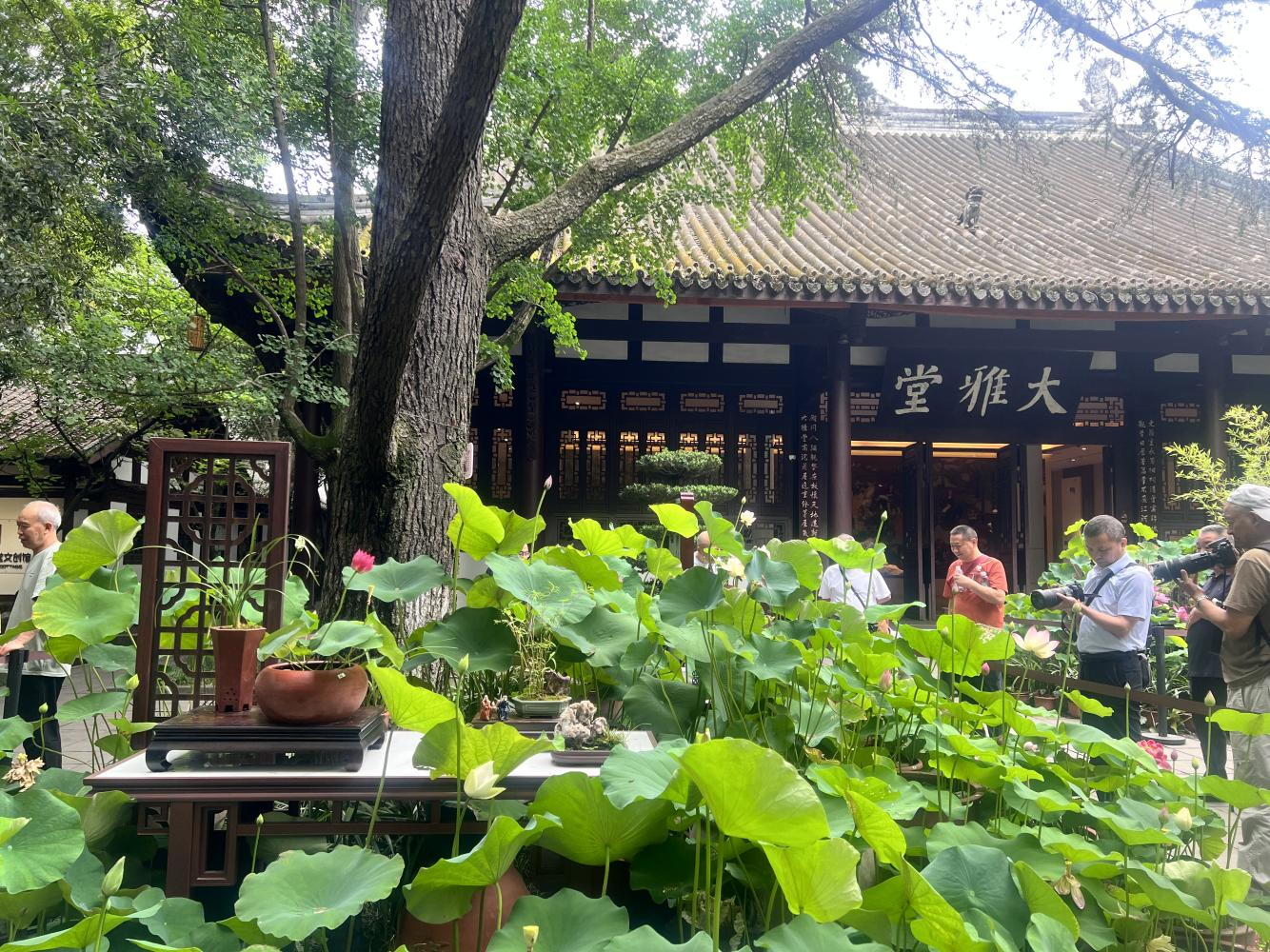 1782179628577035114.png 图片2.png