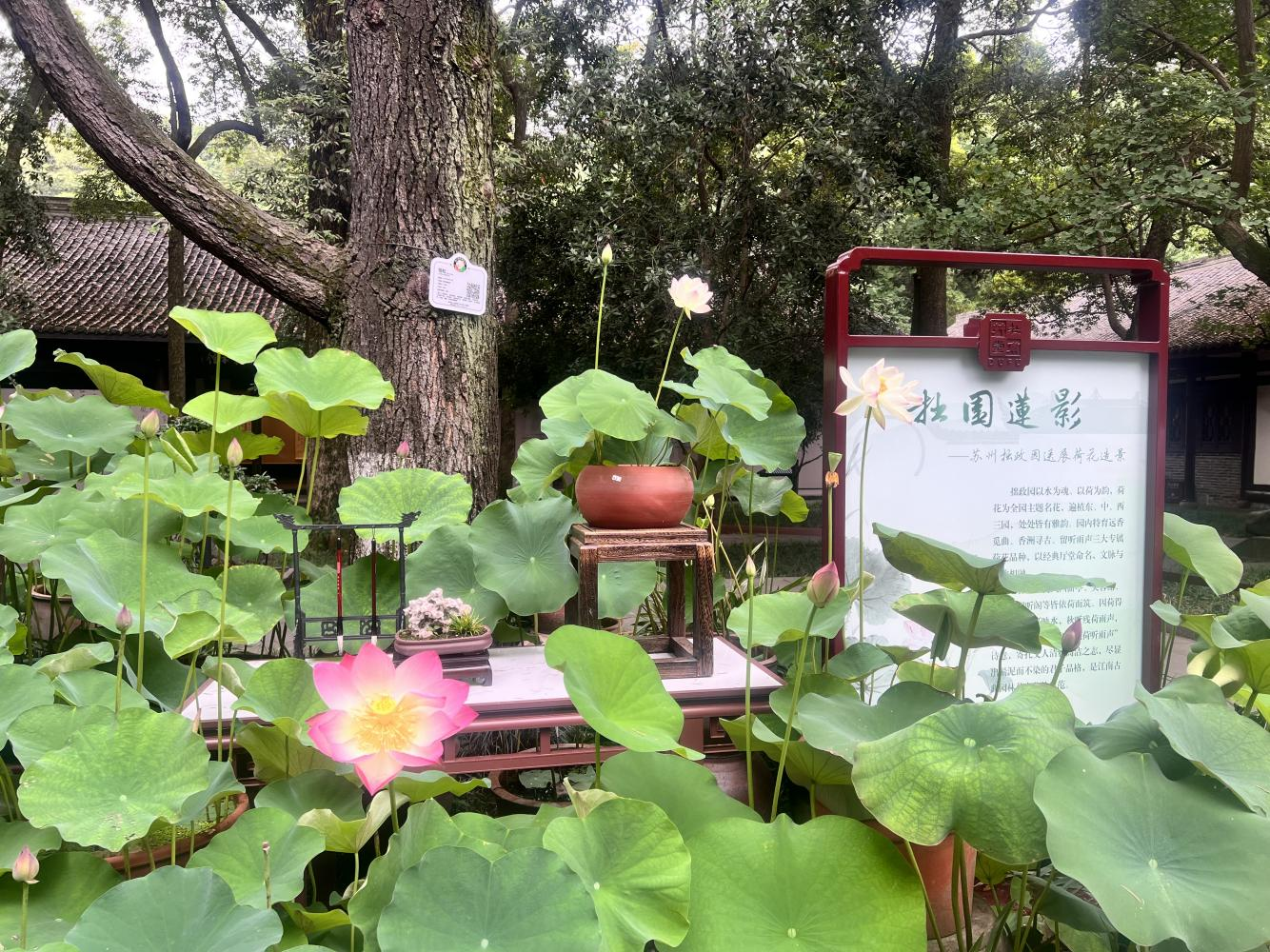 1782179634340064175.png 图片3.png