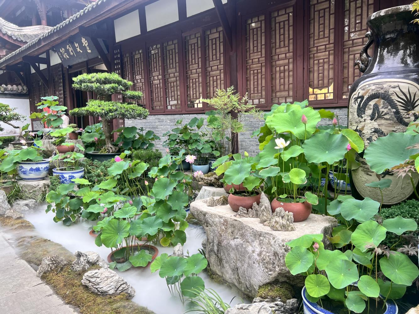 1782179639631036358.png 图片4.png