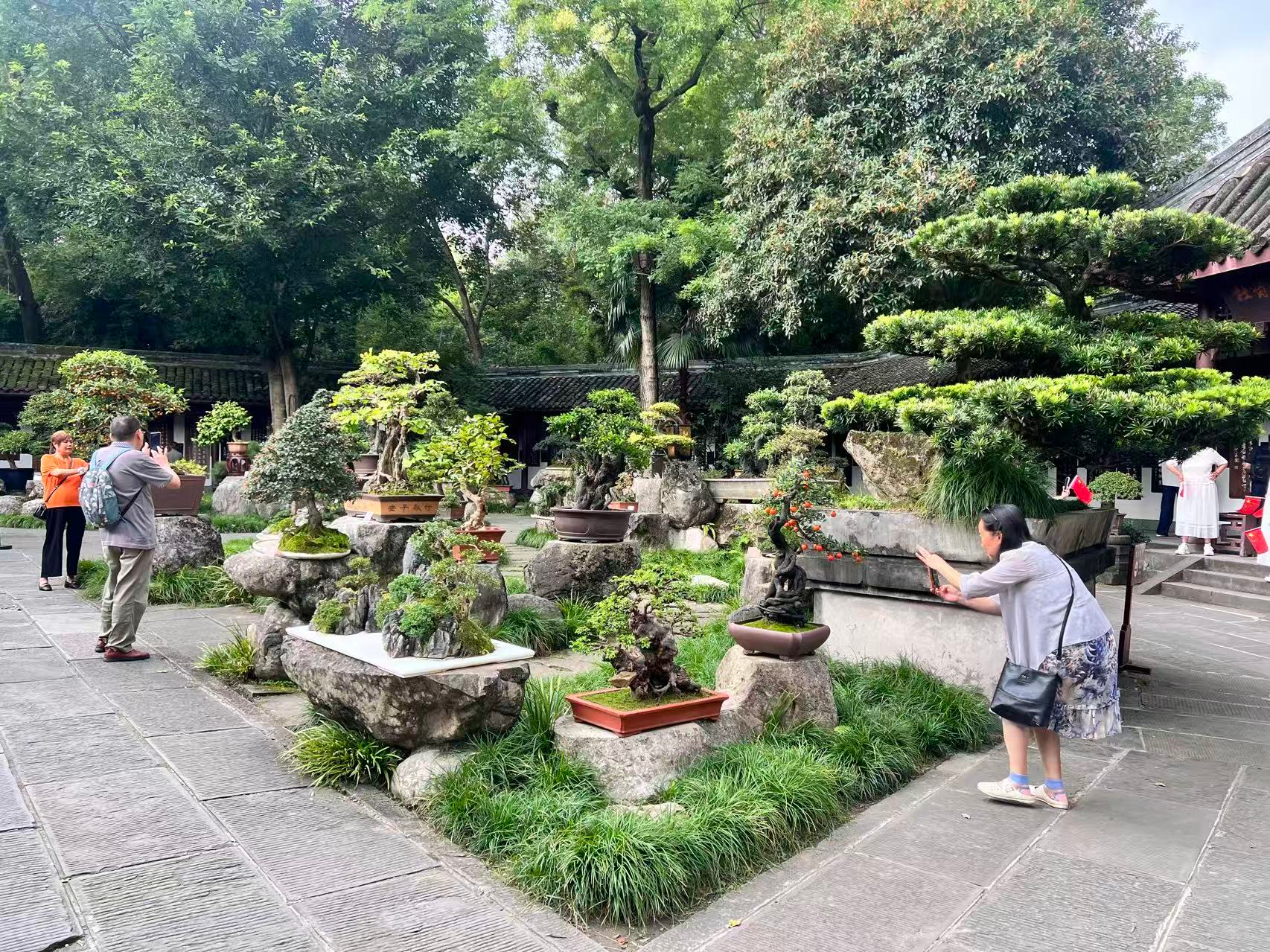 1790239071975012519.png 图片1.png