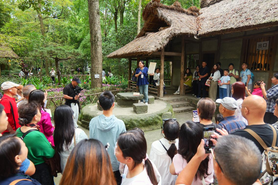 1791527708103025242.png 图片1.png